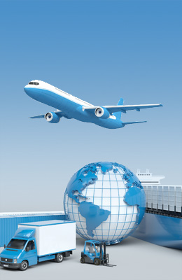 全球網(wǎng)絡(luò)